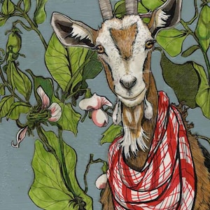 Könnte beinhalten: Eine braune und weiße Ziege mit einem rot-weiß karierten Bandana um den Hals. Die Ziege schaut den Betrachter direkt an und hat einen freundlichen Ausdruck. Die Ziege ist von grünen Blättern und weißen Blüten umgeben.