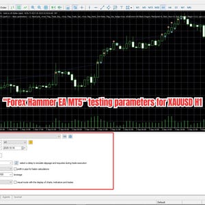 May include: A computer screen displaying a trading platform interface. The screen shows a candlestick chart with green and white bars, along with text that reads "Forex Hammer EA MT5" and testing parameters for XAUUSD H1. A red box highlights the settings.