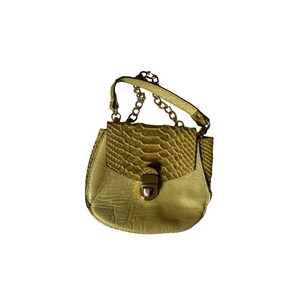 May include: A small, olive green handbag with a textured flap and a gold-tone chain strap. The bag features a clasp closure and a rounded shape, with a snakeskin-like pattern on the flap.
