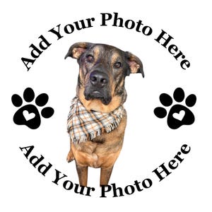 May include: A dog with brown and black fur wearing a plaid scarf, with the text "Add Your Photo Here" in a circular pattern. Black paw prints with heart-shaped cutouts are on either side.