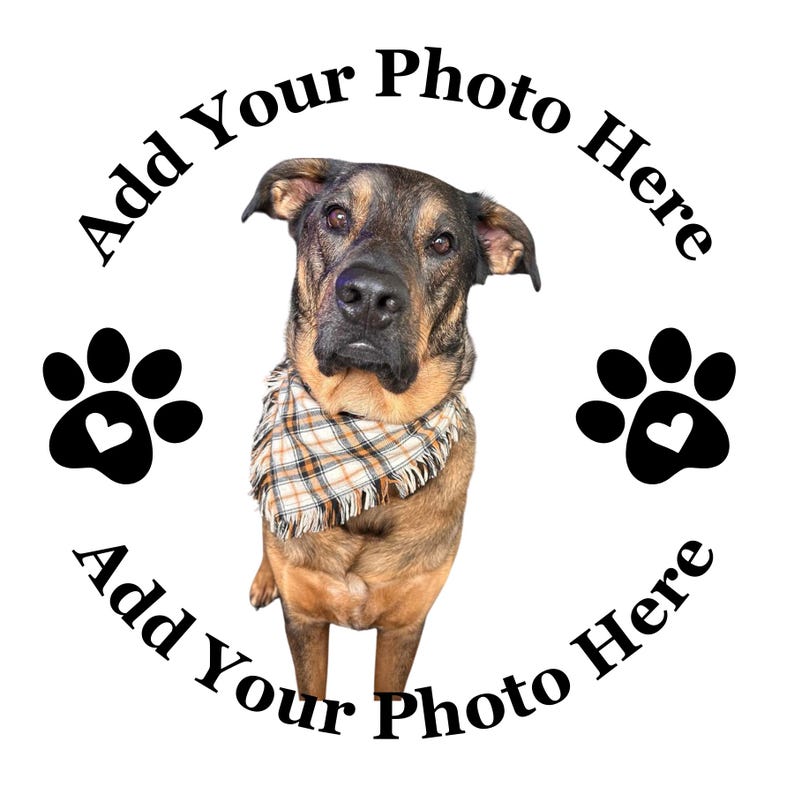 May include: A dog with brown and black fur wearing a plaid scarf, with the text "Add Your Photo Here" in a circular pattern. Black paw prints with heart-shaped cutouts are on either side.