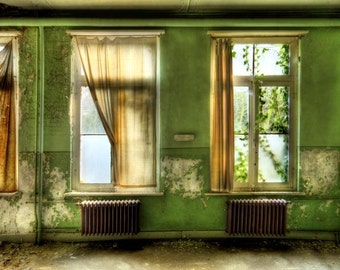 Abandoned Building photograph belgium surreal fine art interior architecture "Natural eVolution"