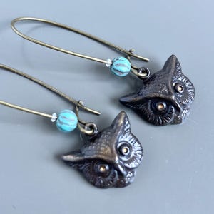 Owl Earrings - Aqua, Bird Earrings, Bird Jewelry, Nature Jewelry, Gift for Nature Lover, Gift for Woman, Birthday, Graduation, Bird Gift