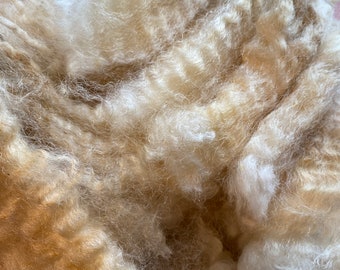 Romney Ewe Fleece locks, UNWASHED, White "Ophelia" 2 oz , Free Shipping