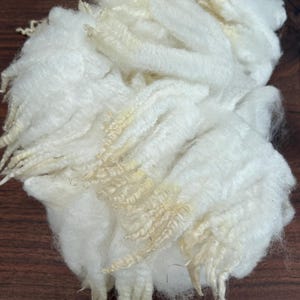 May include: A clump of raw, unspun white wool fiber featuring a soft, fluffy texture with distinct curly locks and natural cream-colored tips. The material appears loose and airy, showcasing the natural crimp and structure of the animal fleece.