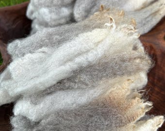 Romney Ewe Fleece locks, WASHED, Natural Color "Lucy" 1 oz , Free Shipping
