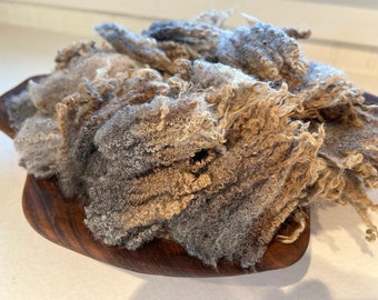 Romney Ewe Fleece Wool Fiber Locks, WASHED, Natural Color Mix, Curls and Crimp, Happy, 1 oz +, FREE SHIPPING