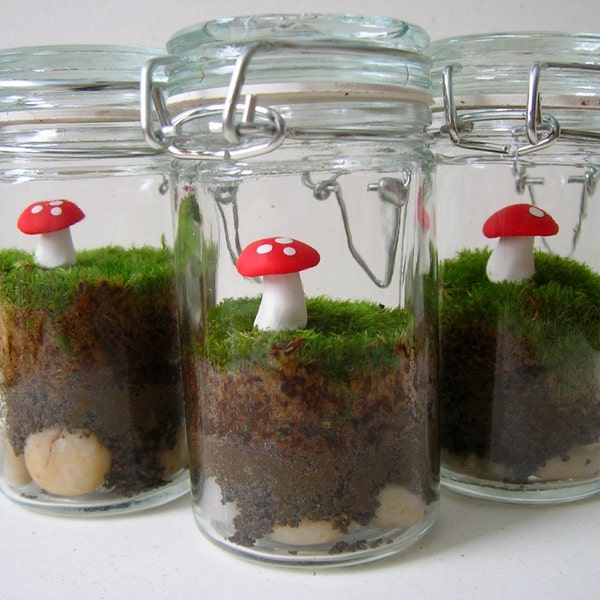 Set of Three Tiny Moss Terrariums with Red Mushrooms