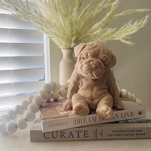 Home Decor Pets