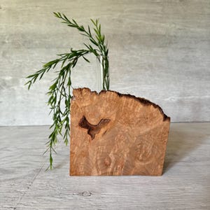 May include: A wooden vase with a natural bark finish and a clear glass tube for holding flowers. The vase is sitting on a light grey surface.