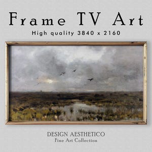 May include: A framed landscape painting with a gold-colored frame. The artwork depicts a marshy landscape under a cloudy sky, with several birds in flight. The text "Frame TV Art" and "High quality 3840 x 2160" are at the top. The text "DESIGN AESTHETICO Fine Art Collection" is at the bottom.