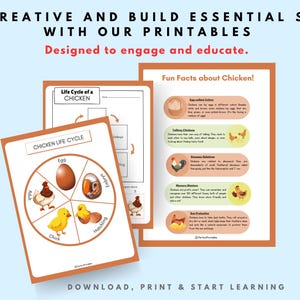 Life Cycle of a Chicken digital download: Educational Poster print , Poultry Growth Stages, Farm Animal Wall Art, Homeschool Science Decor