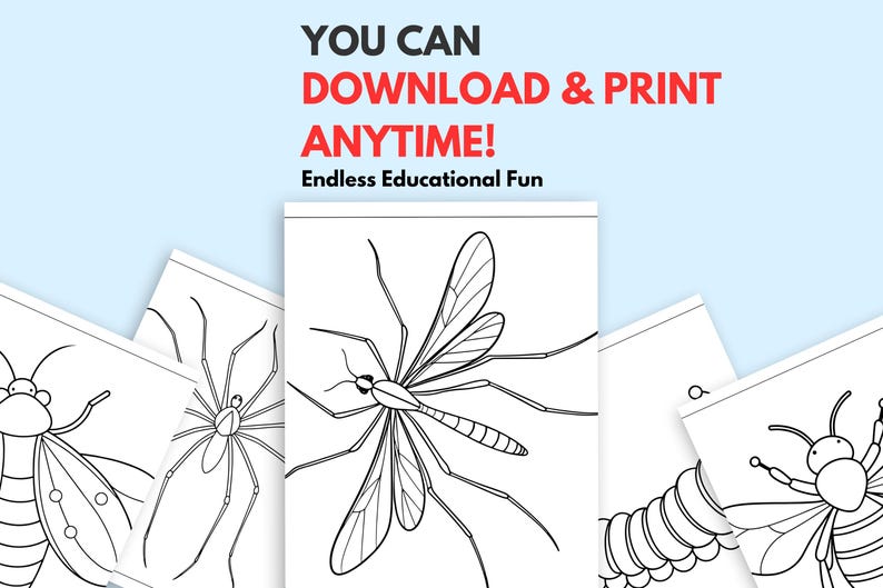 Insect Coloring Page for Kids - Printable Bug Colouring Sheets ...