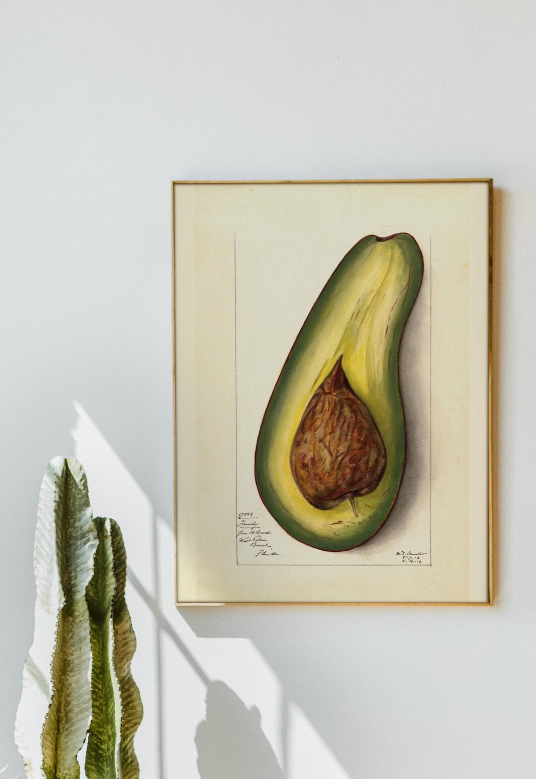 Avocado Themed Art Fruit Poster Indoor Kitchen Food Wall Arts Decor ...