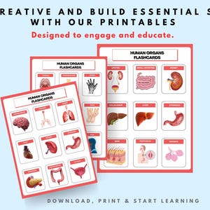 Human Organs Montessori Flashcards Digital Download | Educational Anatomy flashCards for Kids & Students Learning