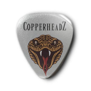 CopperHeadZ - (Pack of 10) Metal Head Guitar & Bass Picks