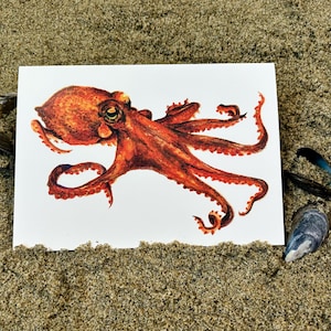 Octopus ~ Terracotta Tenticles Card