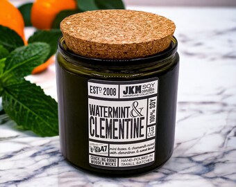 Watermint & Clementine 13oz Soy Candle - Ampersand Collection