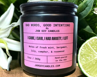 I Came, I Saw, I Had Anxiety, I Left Soy Candle - Bad Words, Good Intentions Collection