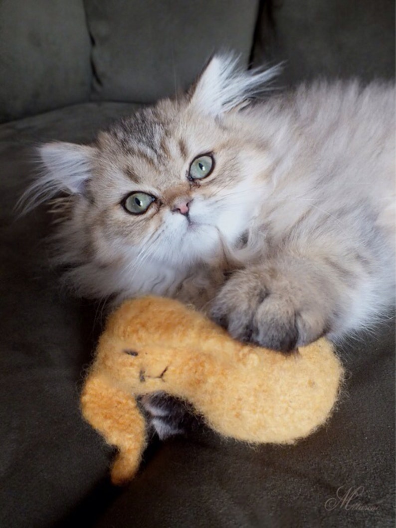 Honey Bunny Cat Toy Hand Knit Wool Felted Organic Catnip