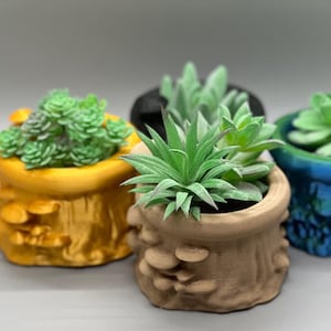 Mini Potted Planter - Mushroom Well - for Succulents or Mini Plants