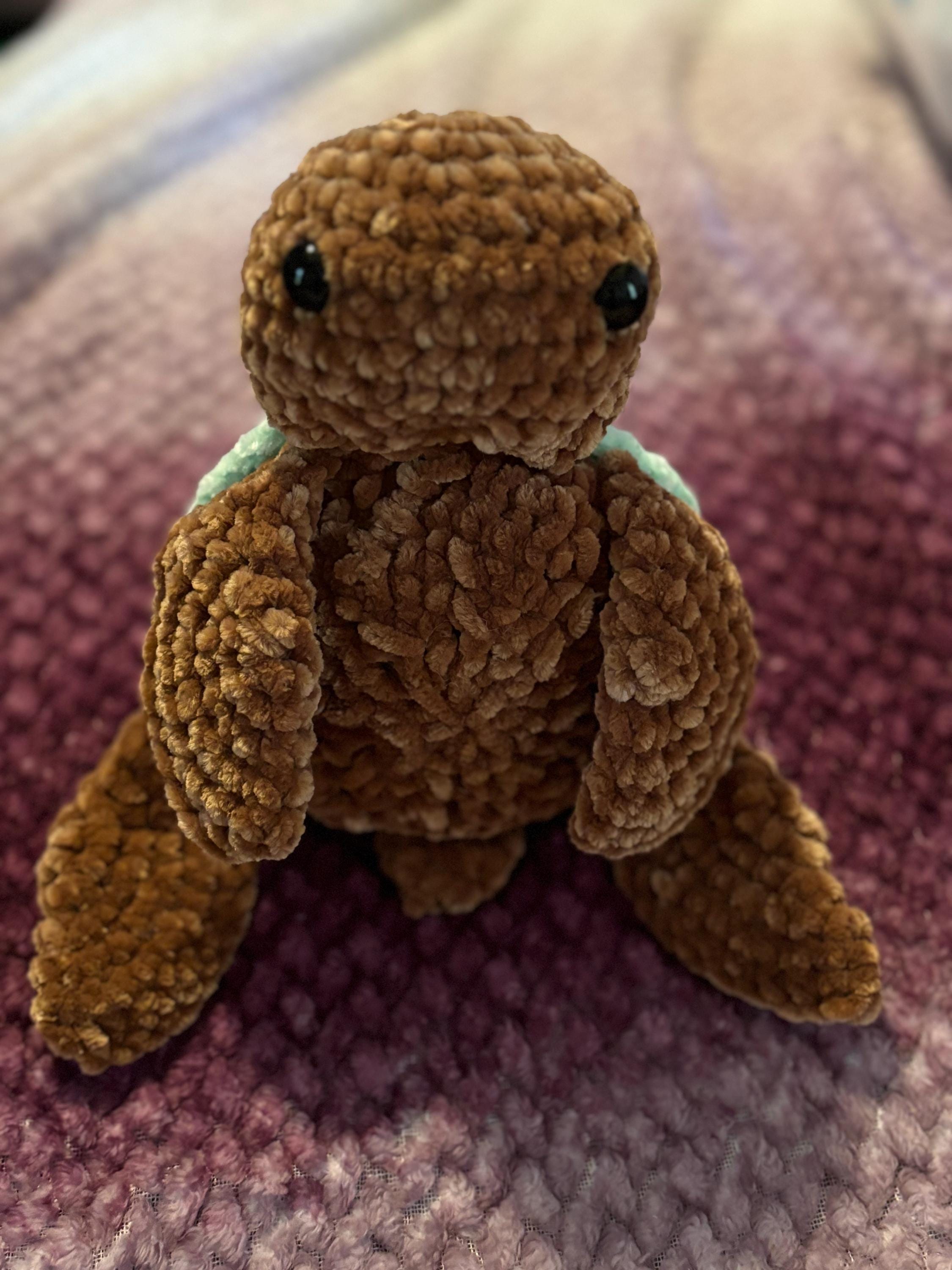Terry the Mint Chocolate Turtle