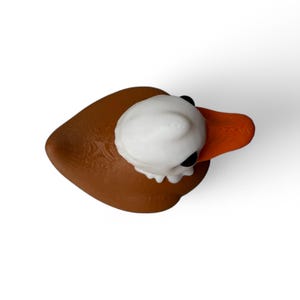 May include: A brown rubber duck with a white head and orange beak. The duck is viewed from above.