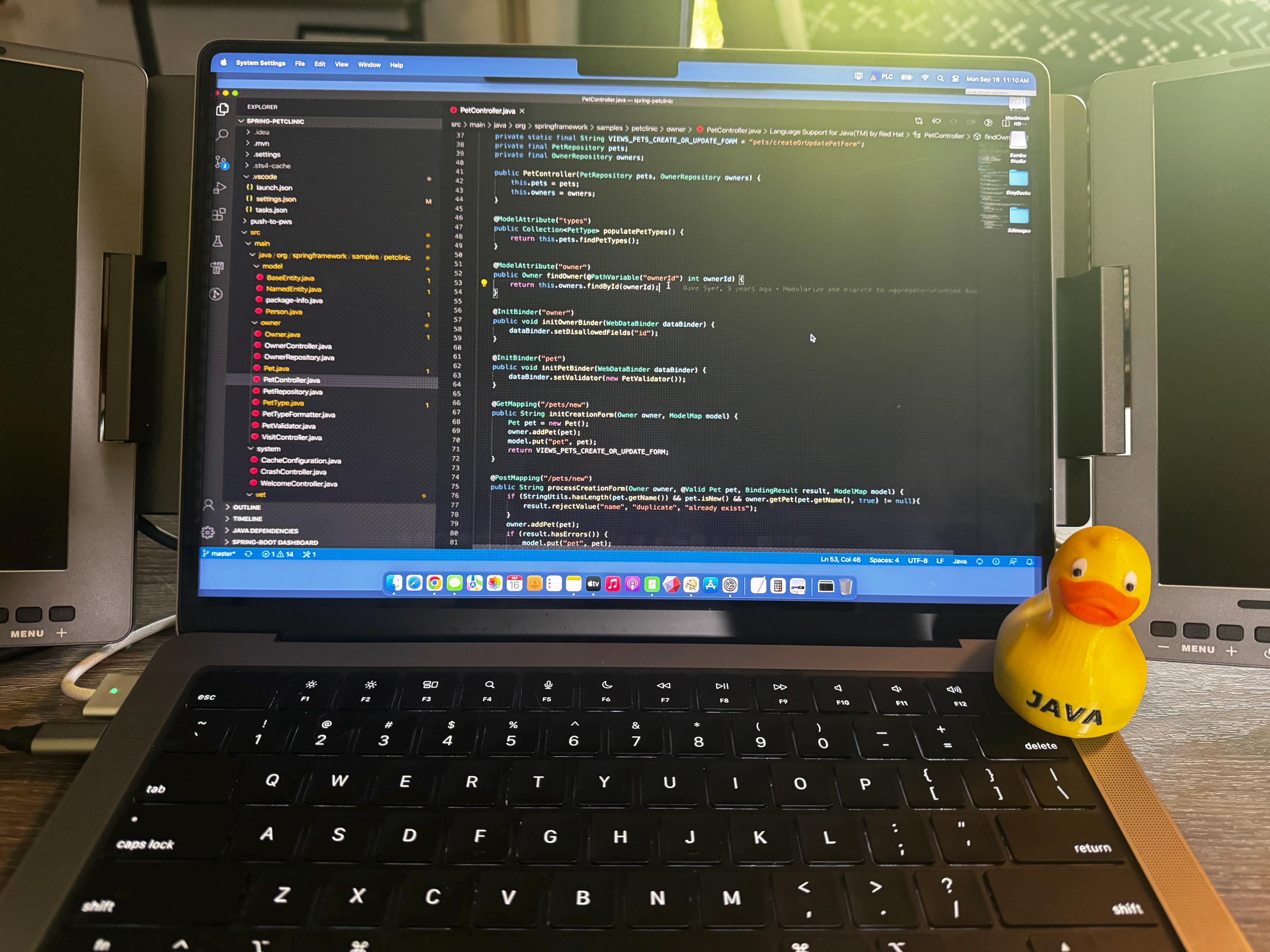 Debug Companion Duck – 3d-printed Magic Duck for Programmers, Coders ...