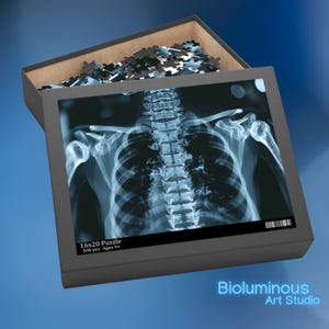 Rompecabezas de rayos X de columna y torso. Rompecabezas de biología. Regalo único para entusiastas de la medicina, cumpleaños o graduaciones. Actividad divertida para toda la familia.