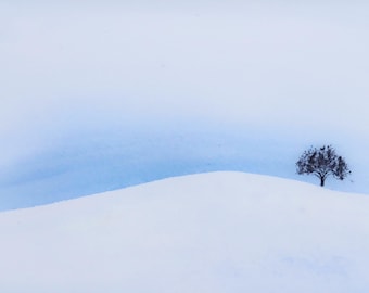 Winter Solstice – Original Minimalist Watercolor Landscape, Isolated Tree in Snow, Blue Wall Art
