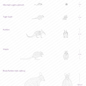 5 Endangered Australian Animals