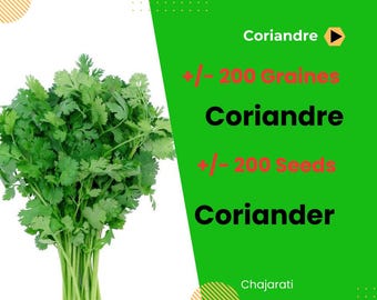 200 semi di coriandolo