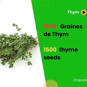 Spanish thyme - Etsy 日本