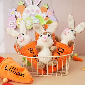 May include: Four plush bunny rabbit toys in orange carrot-shaped pouches with personalized names: Lillian, Rodrick, Brian, and a fourth bunny without a name. The bunnies are sitting in a wire basket.