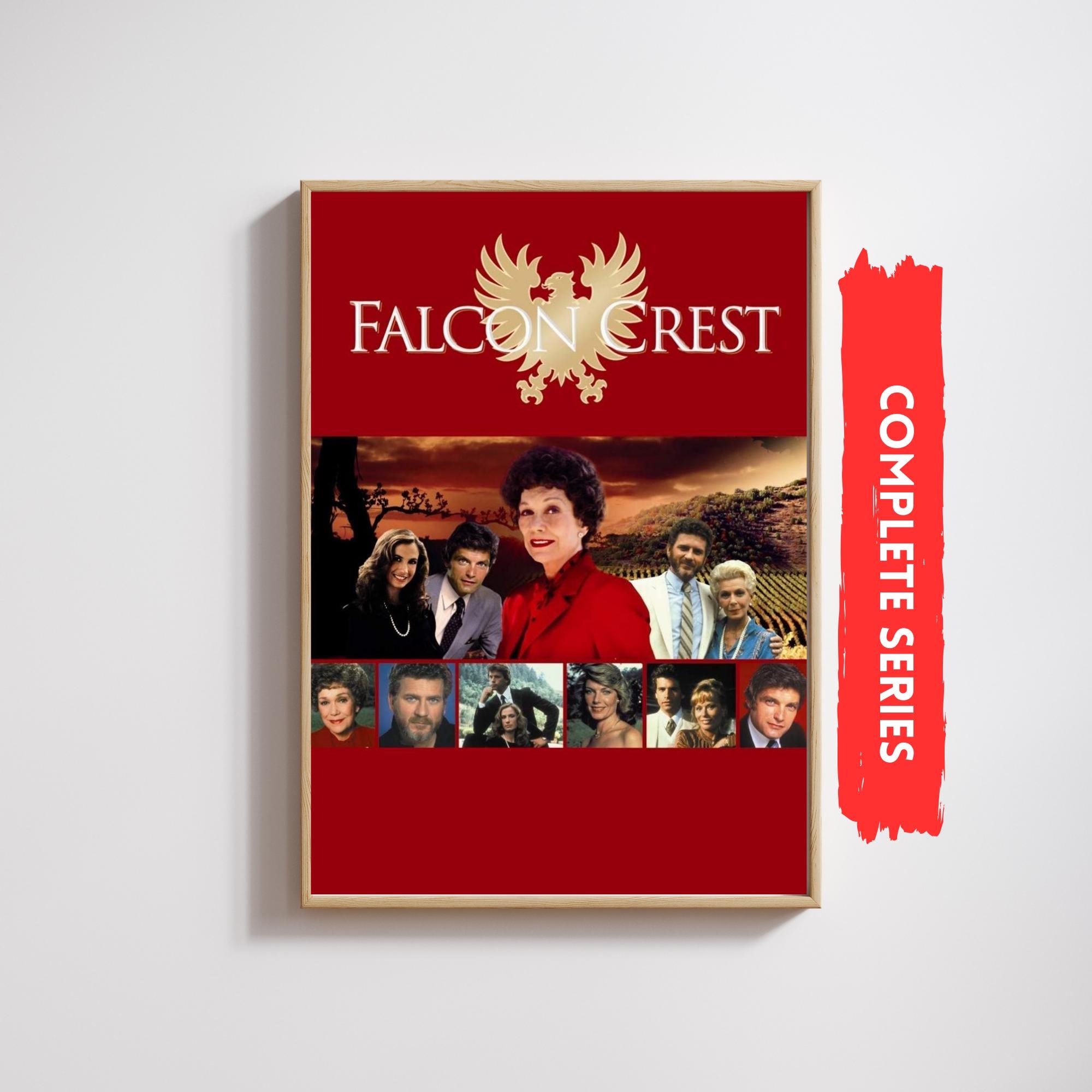 Falcon worldly Rising dvd 2014