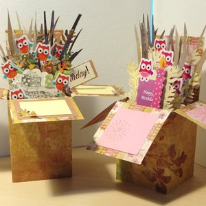 Cumpleaños hecho a mano Explosión Caja Pop Up Tarjetas -Owls Tema - 3 Variaciones Envío Gratis en EE.UU.
