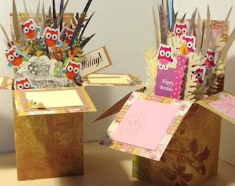 Birthday Handmade Exploding Box Pop Up Cards -Owls Theme - 3 Variations Free Shipping in USA