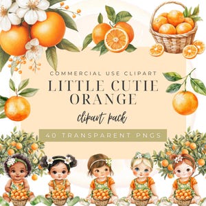 Little cutie clipart,Watercolor orange clipart,A little cutie is on the way,Orange clipart,orange Citrus art,Citrus clipart, Commercial Use.