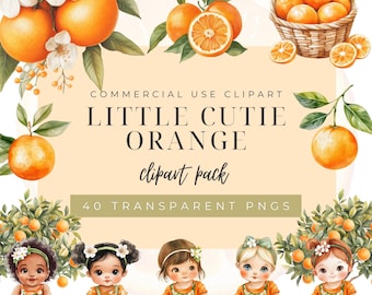 Little cutie clipart,Watercolor orange clipart,A little cutie is on the way,Orange clipart,orange Citrus art,Citrus clipart, Commercial Use.