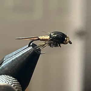 Fly Fishing Nymphs