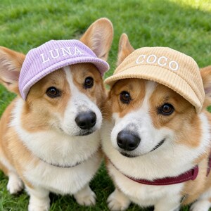 May include: Two Corgi dogs wearing corduroy baseball caps. The left cap is light purple with the white embroidered text LUNA, and the right cap is light yellow with the white embroidered text COCO. Both caps feature a curved brim and textured fabric.