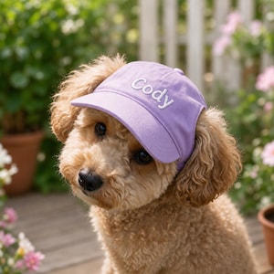 Könnte beinhalten: Eine hellviolette Baseballkappe mit dem Namen Cody, der in weißem Garn auf die Vorderseite gestickt ist. Die Kappe hat einen gebogenen Schirm und wird von einem kleinen, hellbraunen Hund mit lockigem Fell, dunklen Augen und schwarzer Nase getragen.