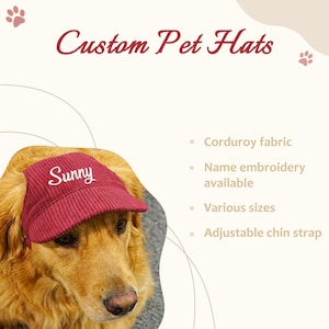 Personalized Pet Baseball Cap, Sun Protection Dog Visor, Embroidered Corduroy Dogs Hat, Gift for Dog Owners image 5