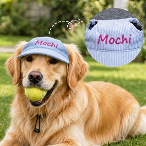 May include: A light blue corduroy pet hat featuring the name Mochi embroidered in pink thread on the front brim. The hat has a structured design with a ribbed texture and is shown both on a golden dog and in a separate circular detail view.