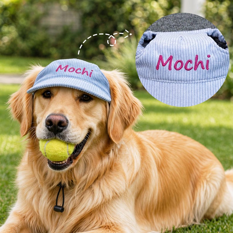 May include: A light blue corduroy pet hat featuring the name Mochi embroidered in pink thread on the front brim. The hat has a structured design with a ribbed texture and is shown both on a golden dog and in a separate circular detail view.