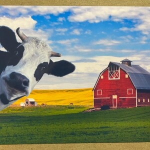 Nueva postal 4x6 Vaca en la granja Tarjeta de felicitación 4x6
