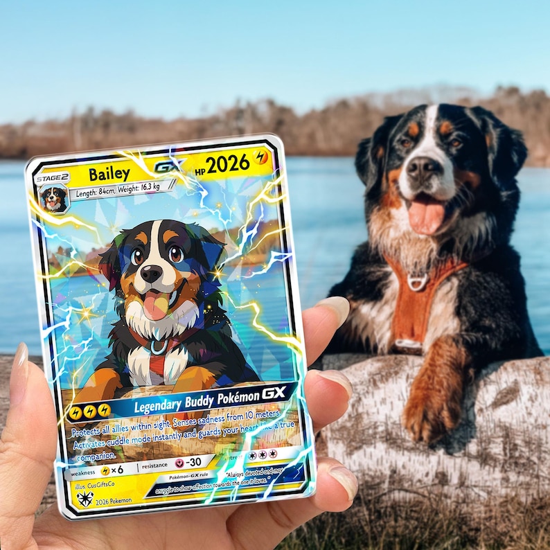 May include: A trading card featuring a cartoon Bernese Mountain Dog named Bailey. The card has a blue and white background with lightning bolts and the text "Legendary Buddy Pok&eacute;mon GX." The dog on the card matches a real Bernese Mountain Dog in the background.