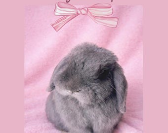 Self-Love Letters | 9 Digital Letters PDF | I Am Enough Self Worth Journal | Gift for Her Confidence | Instant Download