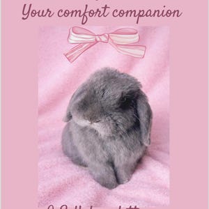 May include: A grey rabbit sits on a pink blanket, with a pink bow above it. The image has text that reads "Letters from Lili Your comfort companion" and "9 Self-love letters With love, Lili xox".