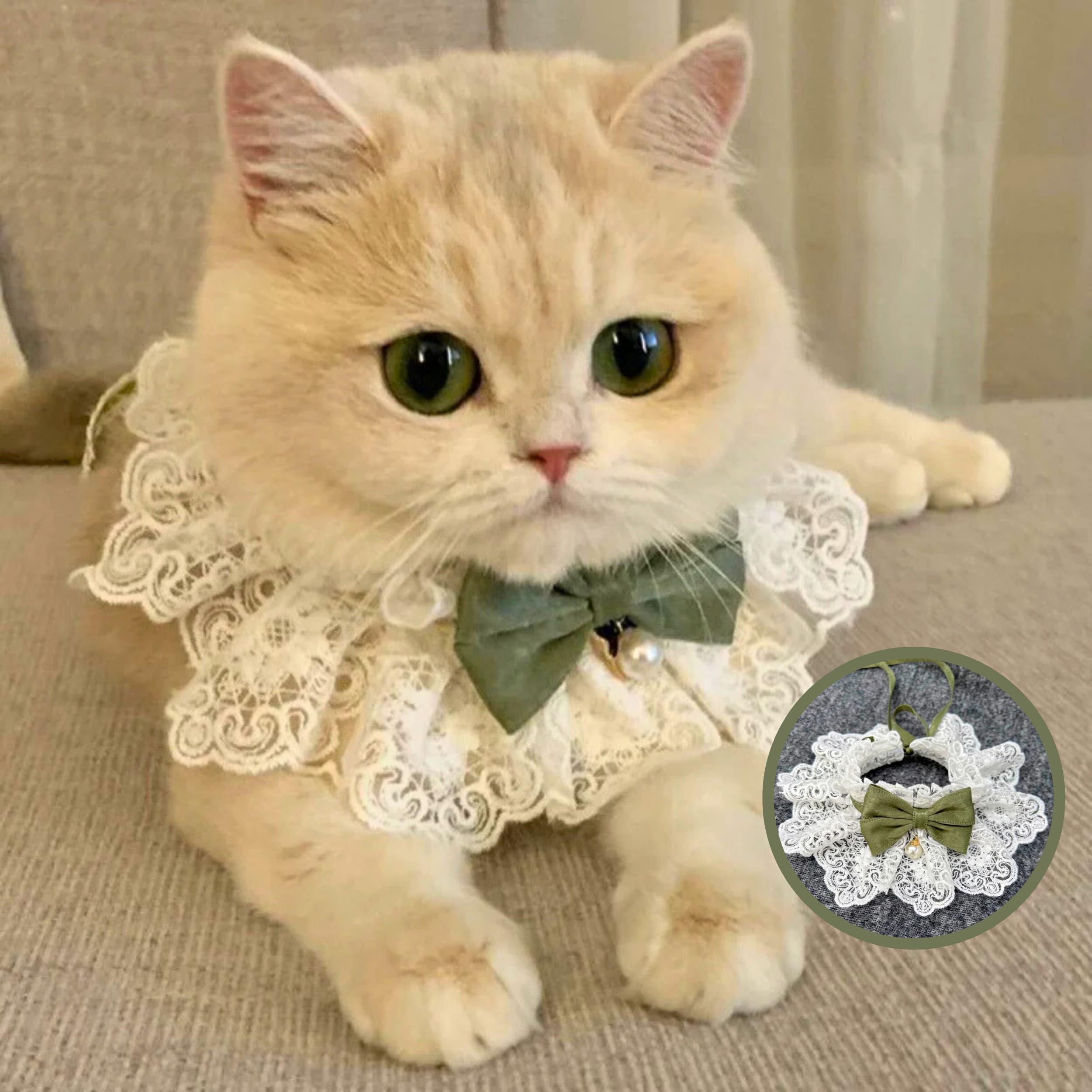 Jeweled Cat Collar Etsy